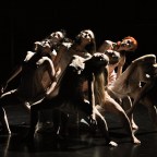 Retour à Berratham d&rsquo;Angelin Preljocaj